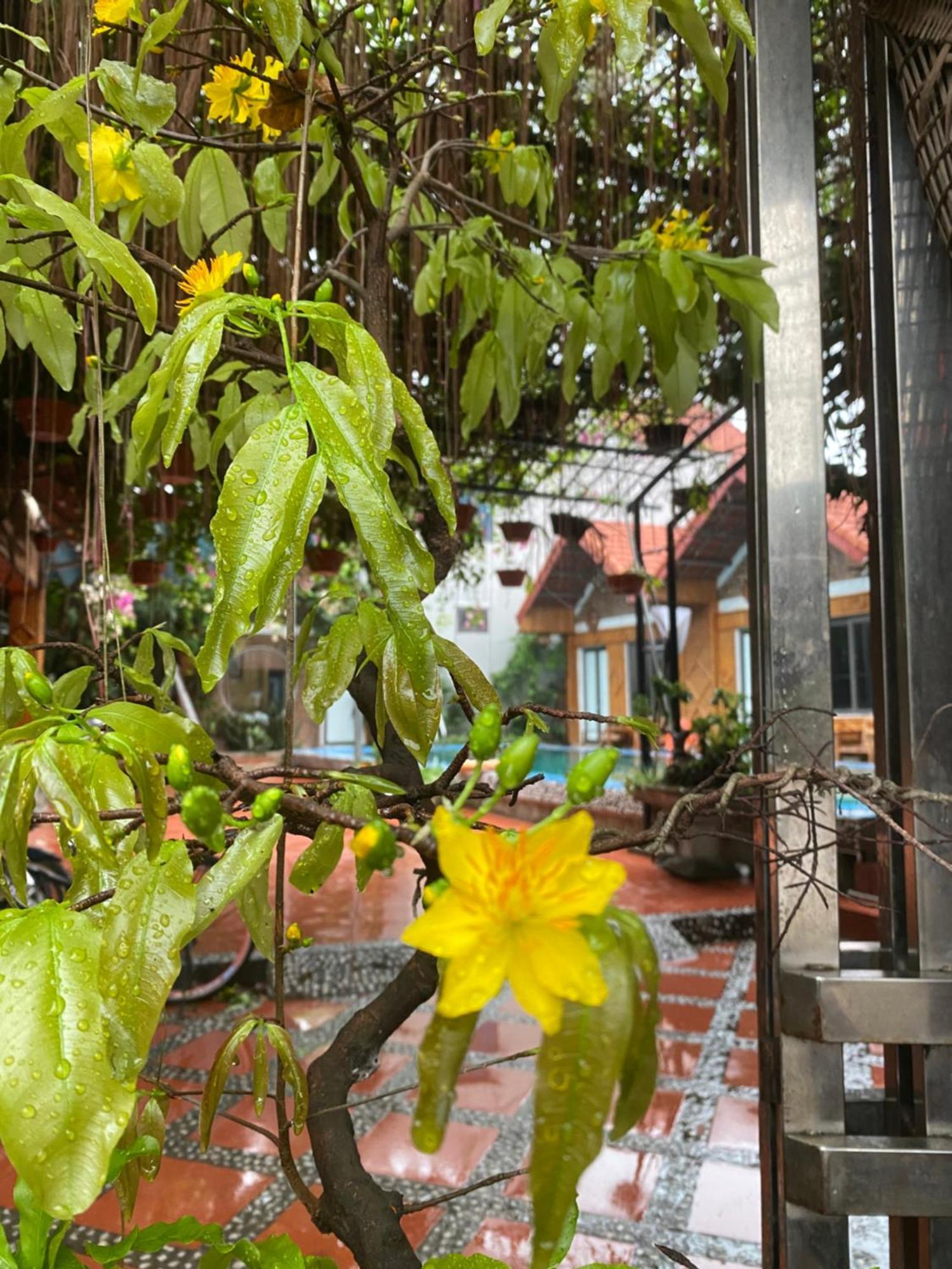 Tam Coc Charming Bungalow Ninh Binh Bagian luar foto