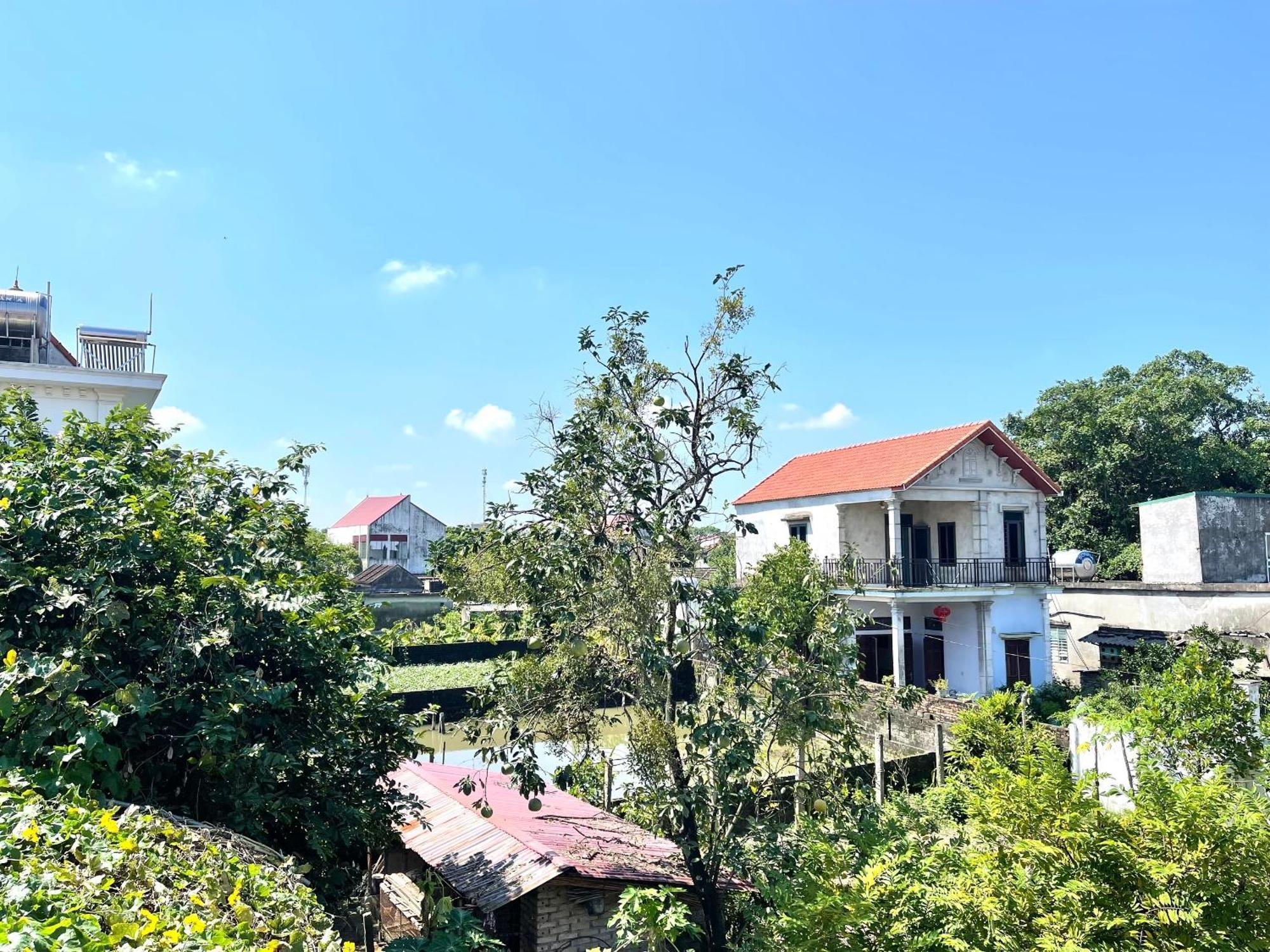 Tam Coc Charming Bungalow Bed & Breakfast Ninh Binh Bagian luar foto